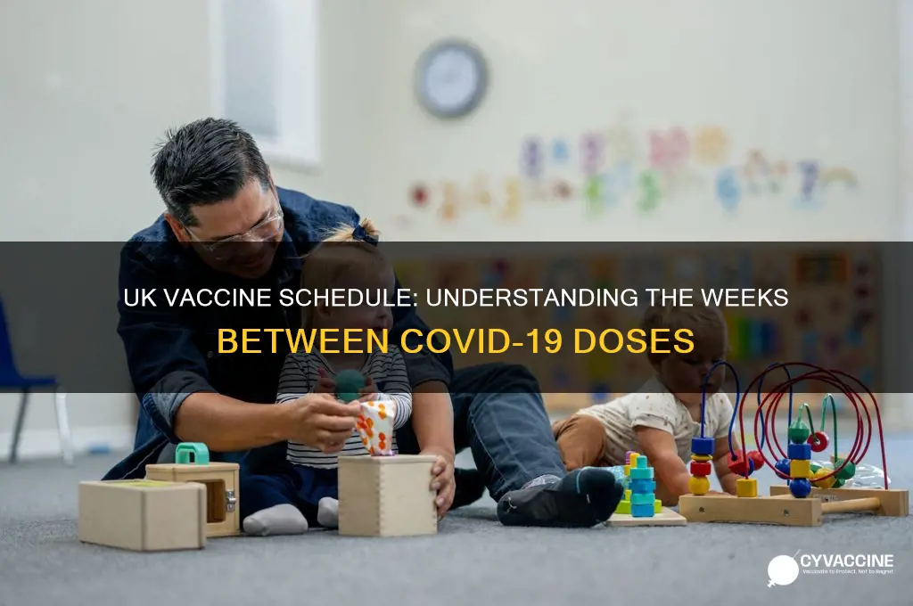 how many weeks between vaccines uk