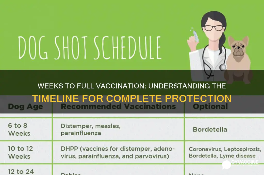 how many weeks till fully vaccinated