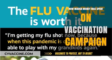 Vaccination Campaign Costs: Unveiling the Global Investment in Health Protection