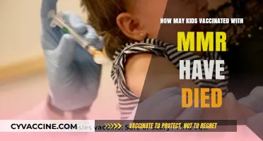 MMR Vaccine Safety: Debunking Myths About Child Deaths