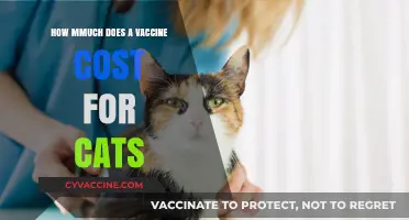 Understanding the Cost of Vaccines for Your Feline Companion