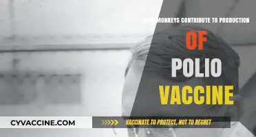 Monkeys' Vital Role in Developing the Polio Vaccine Explained