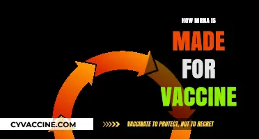 Unveiling the Process: How mRNA Vaccines Are Synthesized and Developed