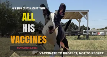 Adopting a Pet: Understanding Vaccination Costs and Adoption Fees