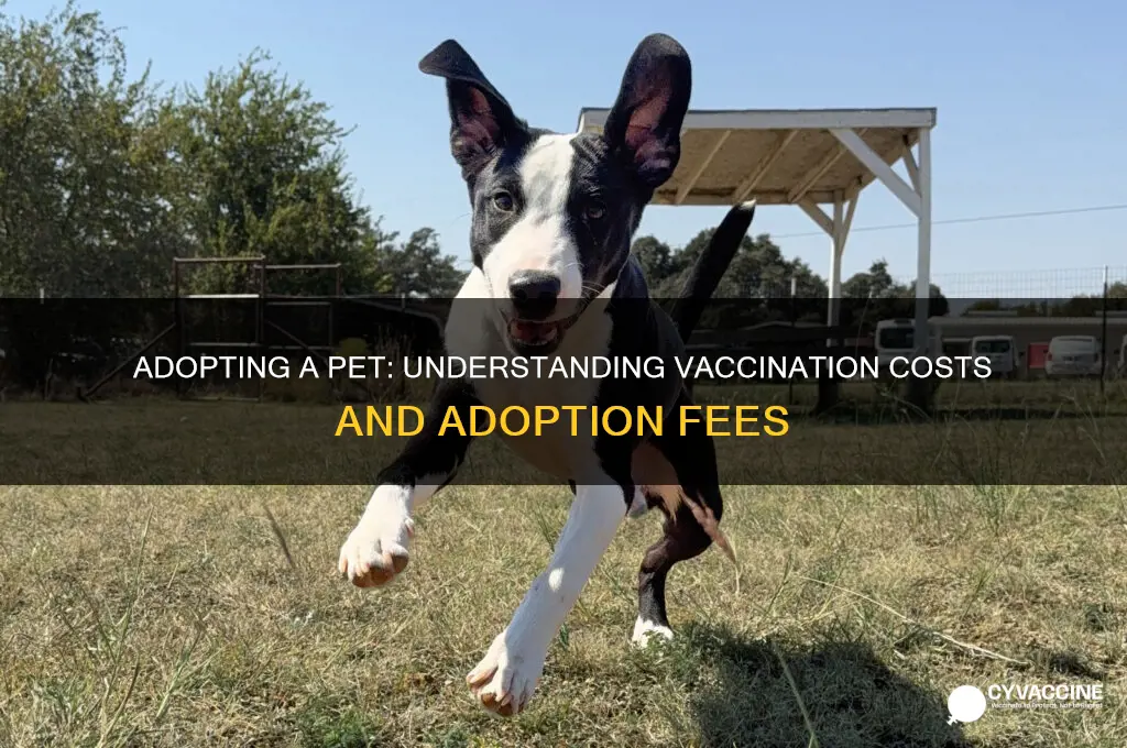 how muh cost to adopt t with all his vaccines