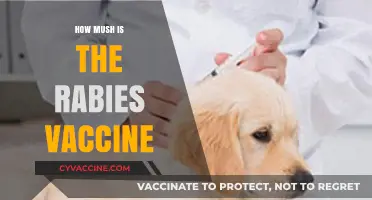Rabies Vaccine Cost: What to Expect and How to Budget