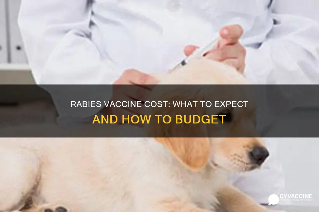 how mush is the rabies vaccine