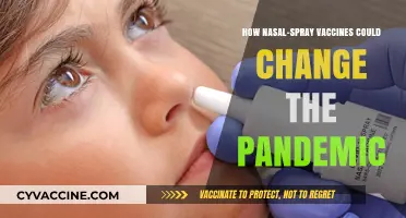 Nasal-Spray Vaccines: A Game-Changer in Pandemic Control and Prevention