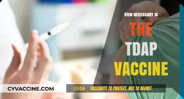 Is the Tdap Vaccine Essential for Your Health and Safety?