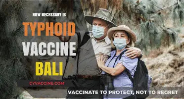 Is Typhoid Vaccine Essential for Safe Travel to Bali?