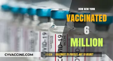 New York's COVID-19 Vaccine Rollout: 6 Million Success Stories