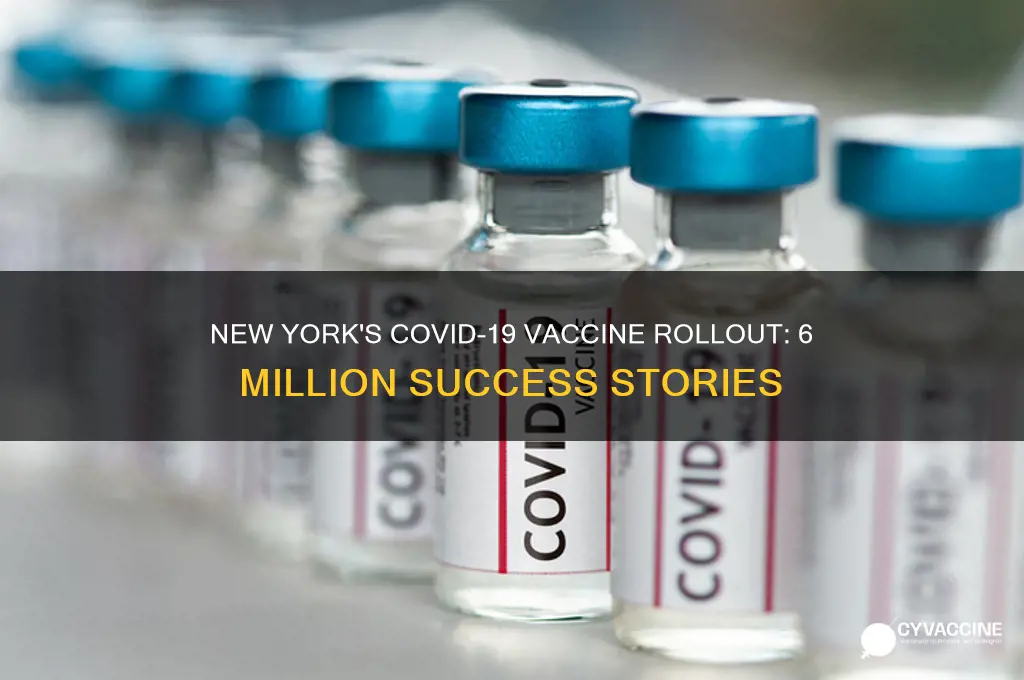 how new york vaccinated 6 million