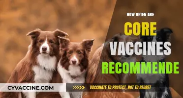 Core Vaccine Frequency: How Often Should Your Pet Be Vaccinated?