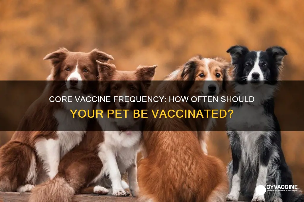 how often are core vaccines recommended