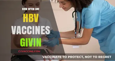 Understanding the Frequency of HBV Vaccines: A Comprehensive Guide