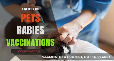 Essential Pet Health: Rabies Vaccination Frequency for Your Furry Friends