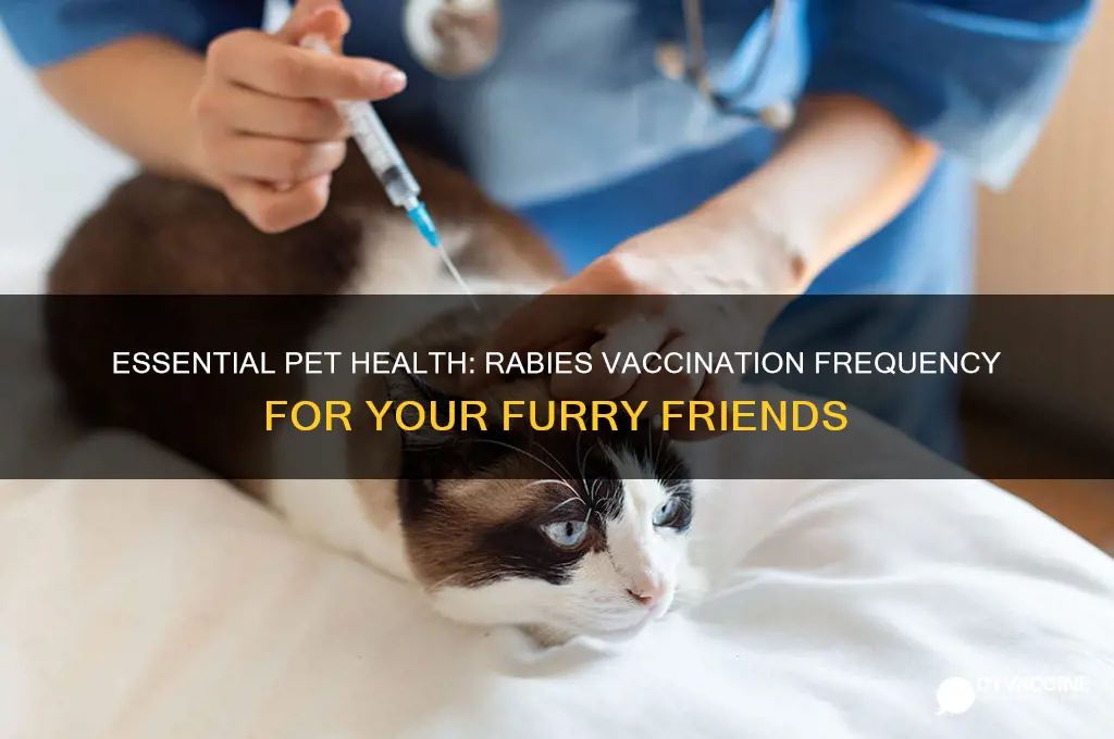 how often are pets rabies vaccinations
