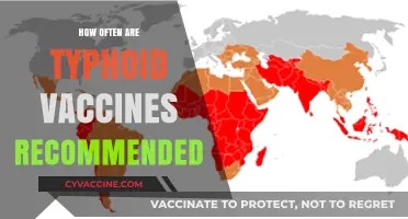 Typhoid Vaccine Frequency: Essential Guidelines for Optimal Protection