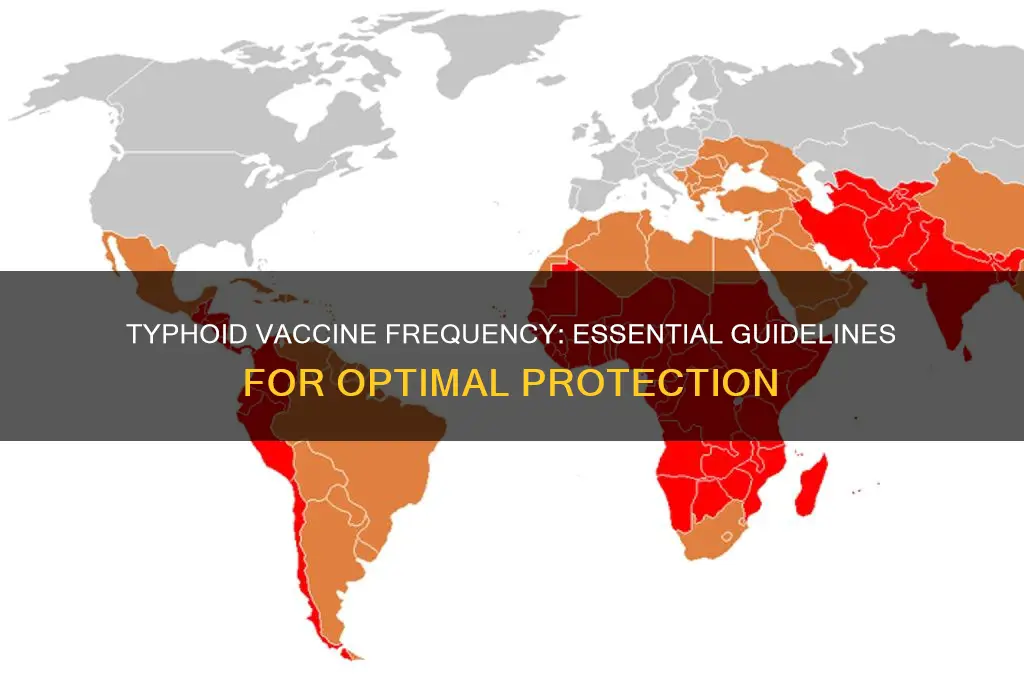 how often are typhoid vaccines recommended