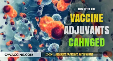Understanding Vaccine Adjuvant Updates: Frequency and Importance Explained