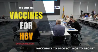 Understanding the Frequency of HBV Vaccines for Optimal Protection