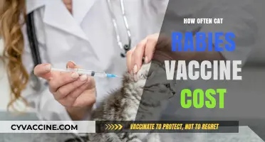 Understanding Cat Rabies Vaccine Costs and Frequency for Pet Owners