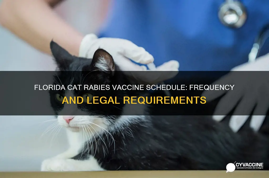 how often cat rabies vaccine florida