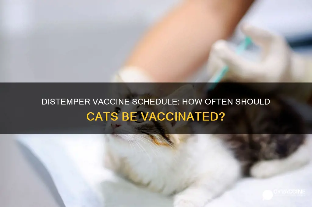 how often distemper vaccine for cats