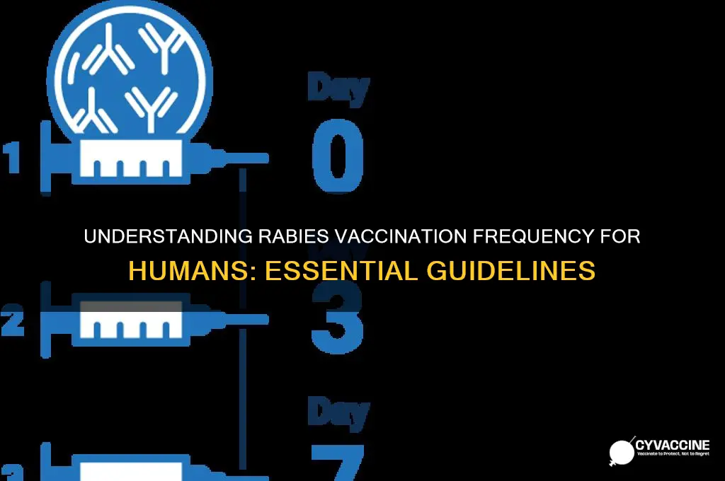 how often do humans neee a rabies vaccine