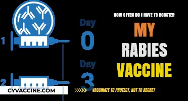 Rabies Vaccine Booster Schedule: How Often Should You Renew Protection?