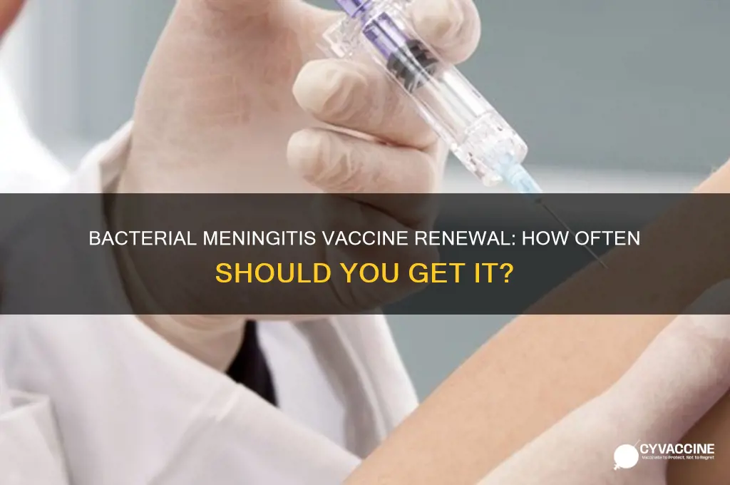 how often do i have to renew bacterial meningitis vaccin