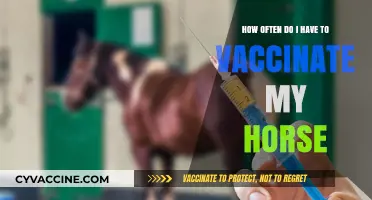 Horse Vaccination Schedule: Essential Frequency for Optimal Equine Health