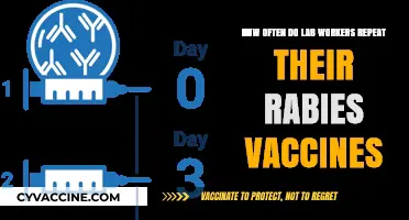 Rabies Vaccine Frequency for Lab Workers: Essential Booster Schedule