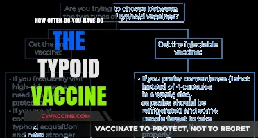 Typhoid Vaccine Frequency: How Often Should You Get the Shot?