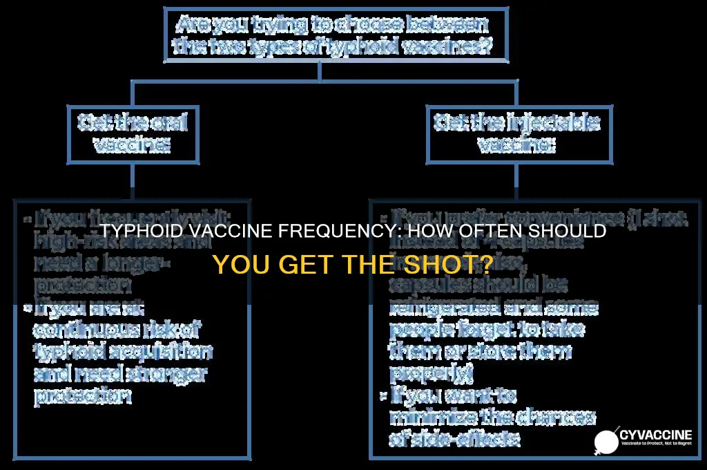 how often do you have do the typoid vaccine