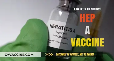Hepatitis A Vaccine Frequency: How Often Should You Get It?