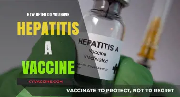 Hepatitis A Vaccine: How Often Should You Get It?