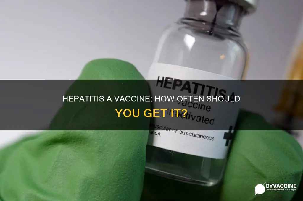 how often do you have hepatitis a vaccine