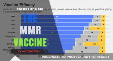 Understanding MMR Vaccine Frequency: How Often Should You Get It?