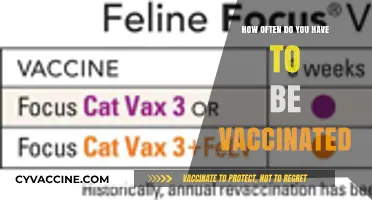 Understanding Vaccination Frequency: How Often Do You Need to Get Vaccinated?