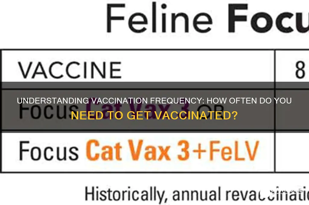 how often do you have to be vaccinated