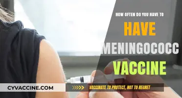 Meningococcal Vaccine Frequency: How Often Do You Need It?