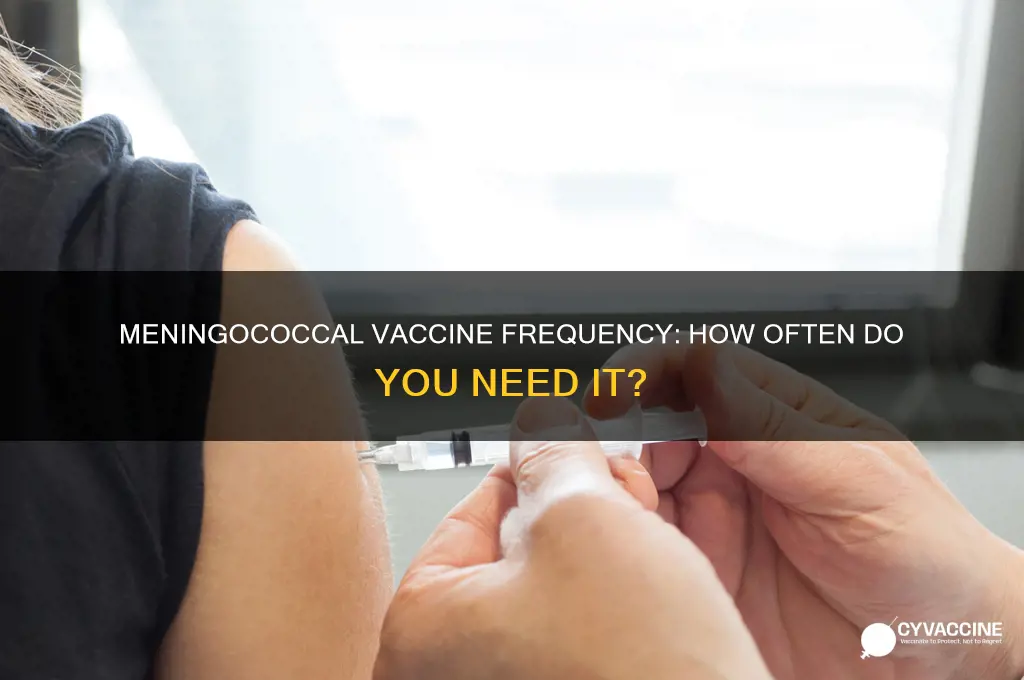 how often do you have to have meningococcal vaccine