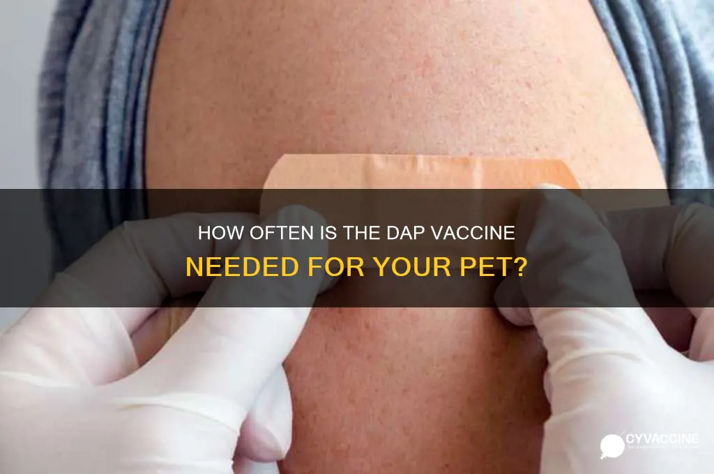 how often do you have to have the dap vaccine