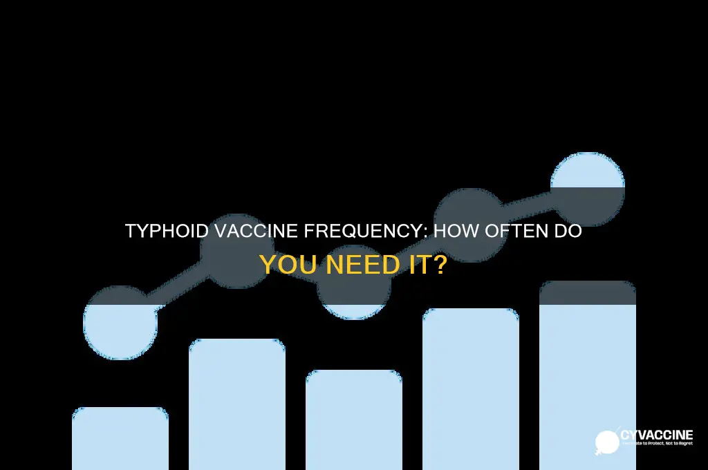 how often do you have to have typhoid vaccine