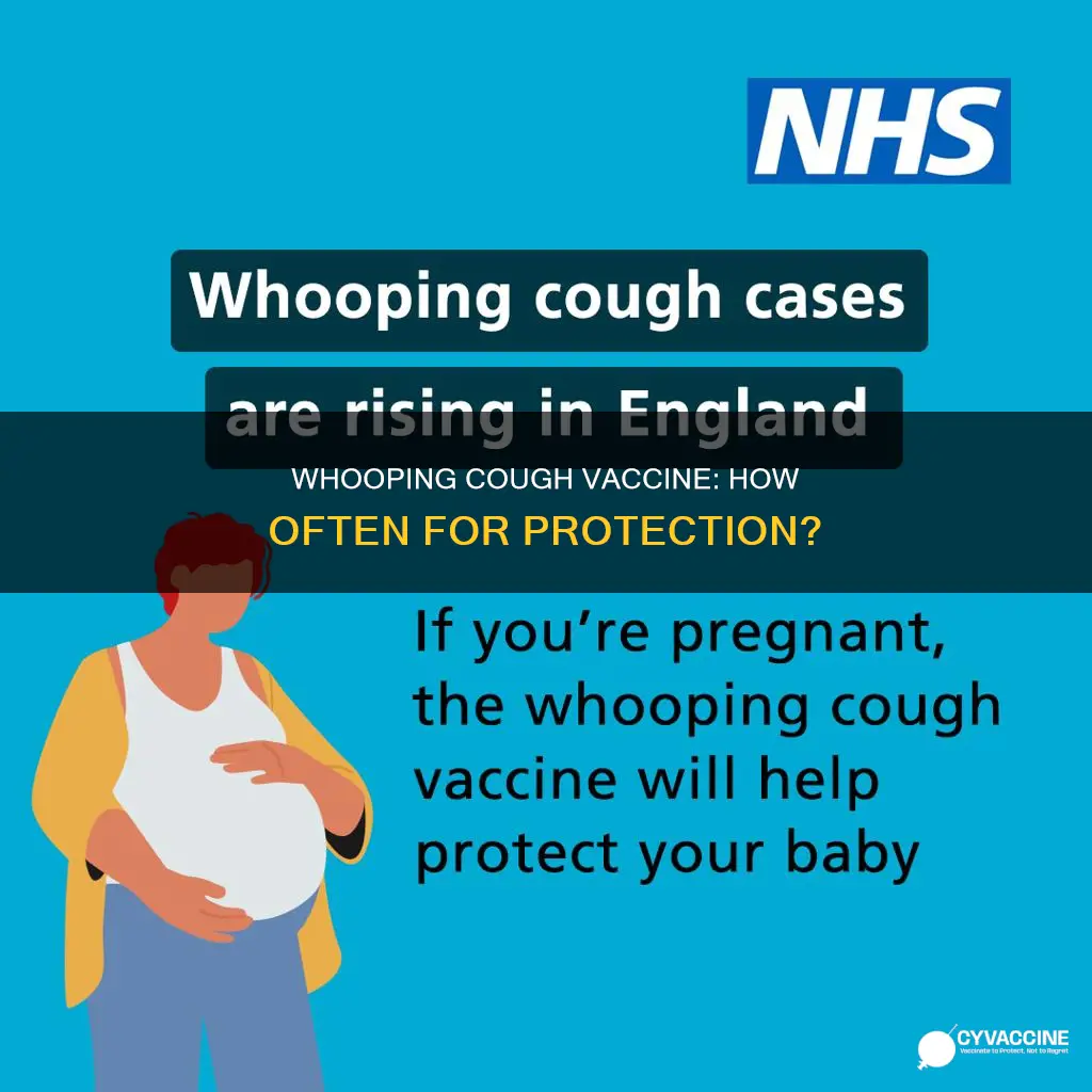 how often do you have to have whooping cough vaccine