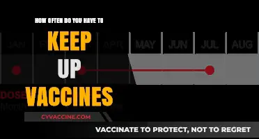 Staying Protected: Understanding the Frequency of Vaccine Updates