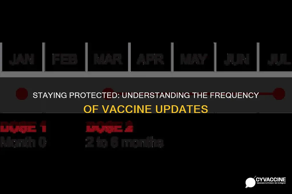 how often do you have to keep up vaccines