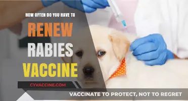Rabies Vaccine Renewal: How Often Should You Revaccinate Your Pet?