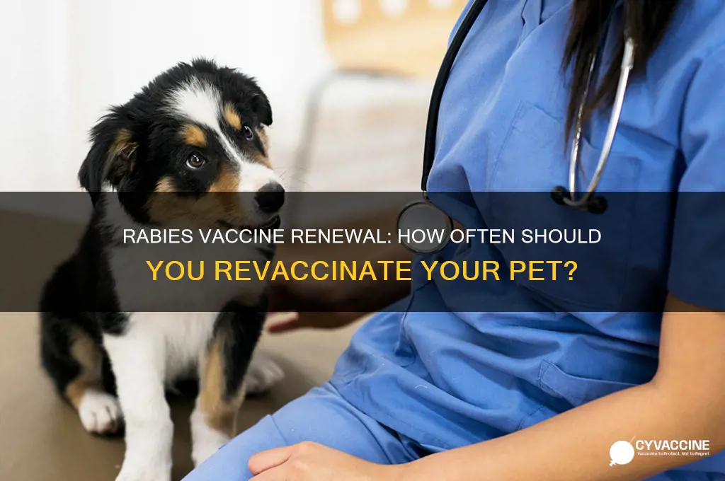 how often do you have to renew rabies vaccine